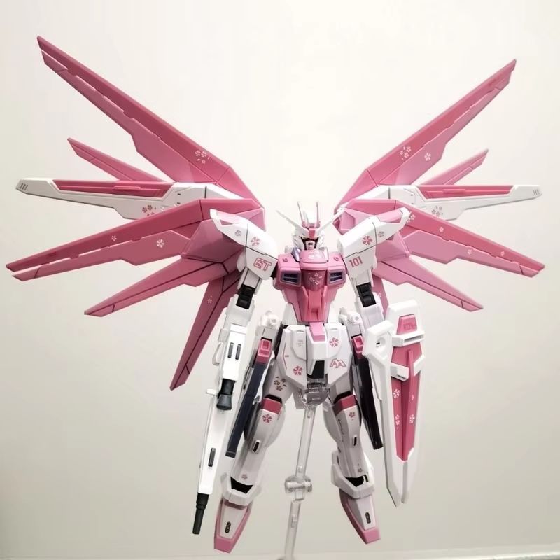Jms hg 1/144 ZY-06 liberdade a - Bandai Gundam Rg avaliação e preço