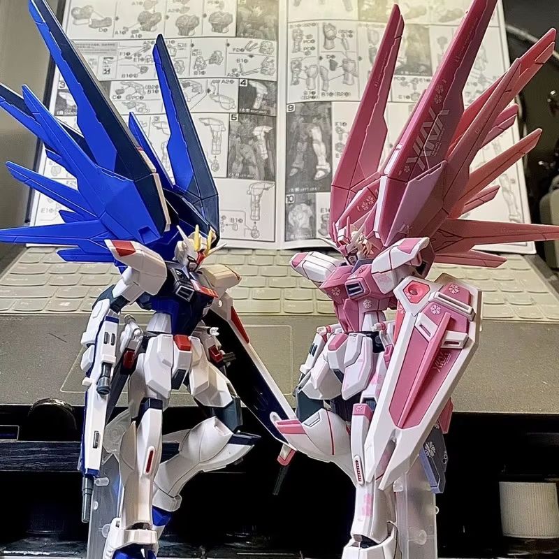 Jms hg 1/144 ZY-06 liberdade a - Bandai Gundam Rg avaliação e preço